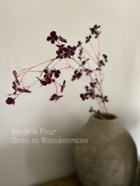 Floral stem 112 cm