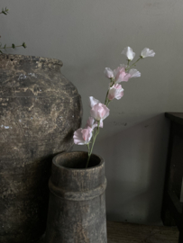 Sweetpea roze 71 cm