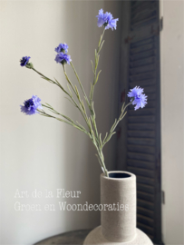 Korenbloem licht blauw 89cm