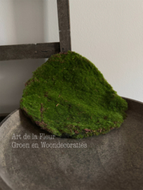 Mos | Set van drie lappen mos S , M en L