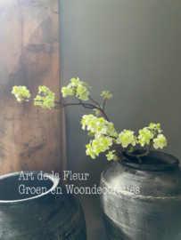 Green / Light Blossom Stem 80 cm