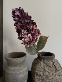Hortensia Paniculata 82 cm licht gedroogde uitstraling