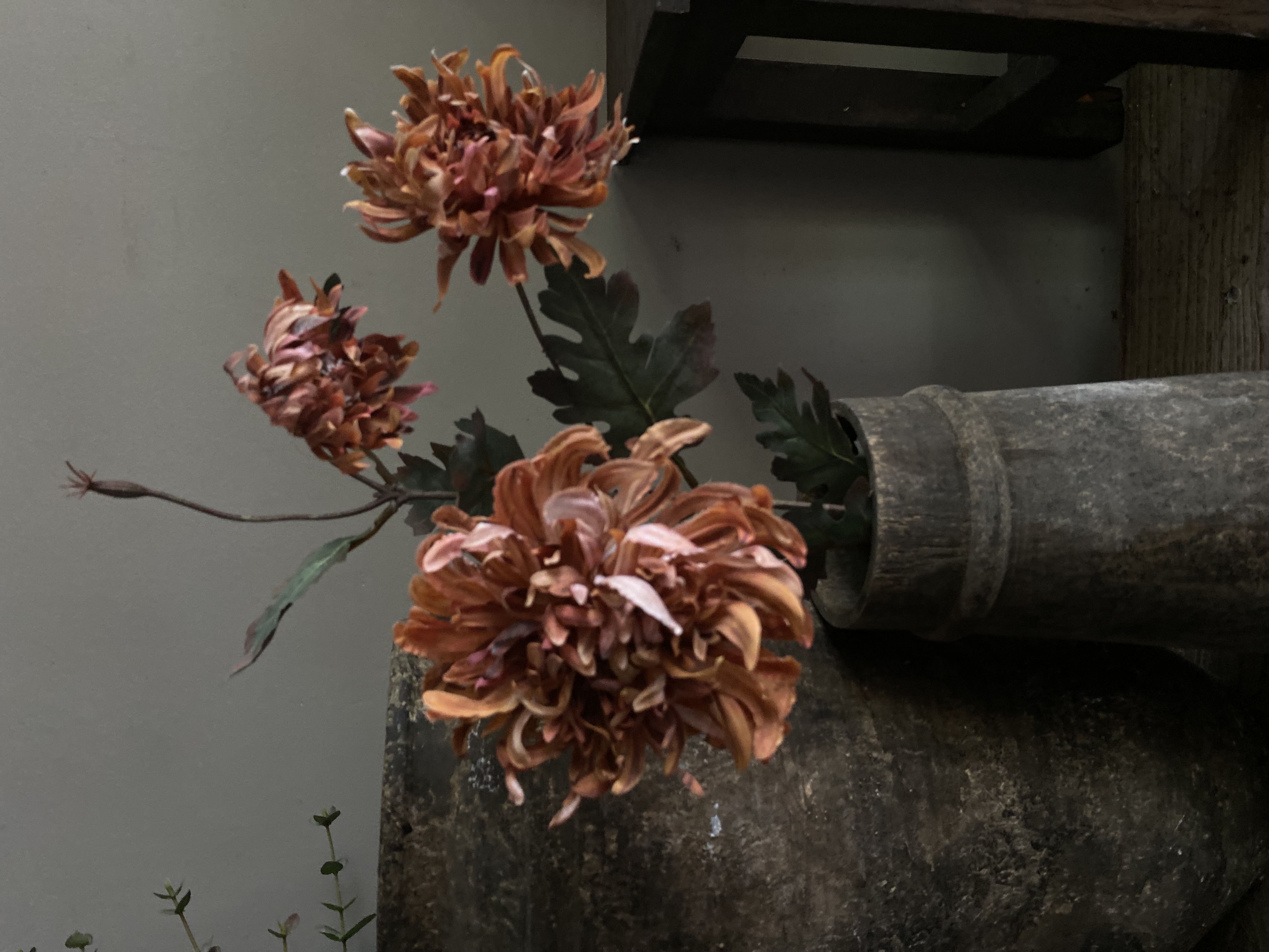 Chrysant Dried look 3 bloemen op steel