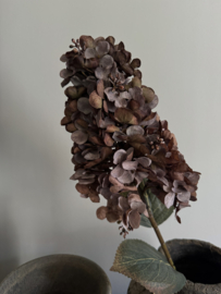 Hortensia Paniculata 82 cm licht gedroogde uitstraling