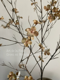 Kunst tak Blossom Brown 132 cm
