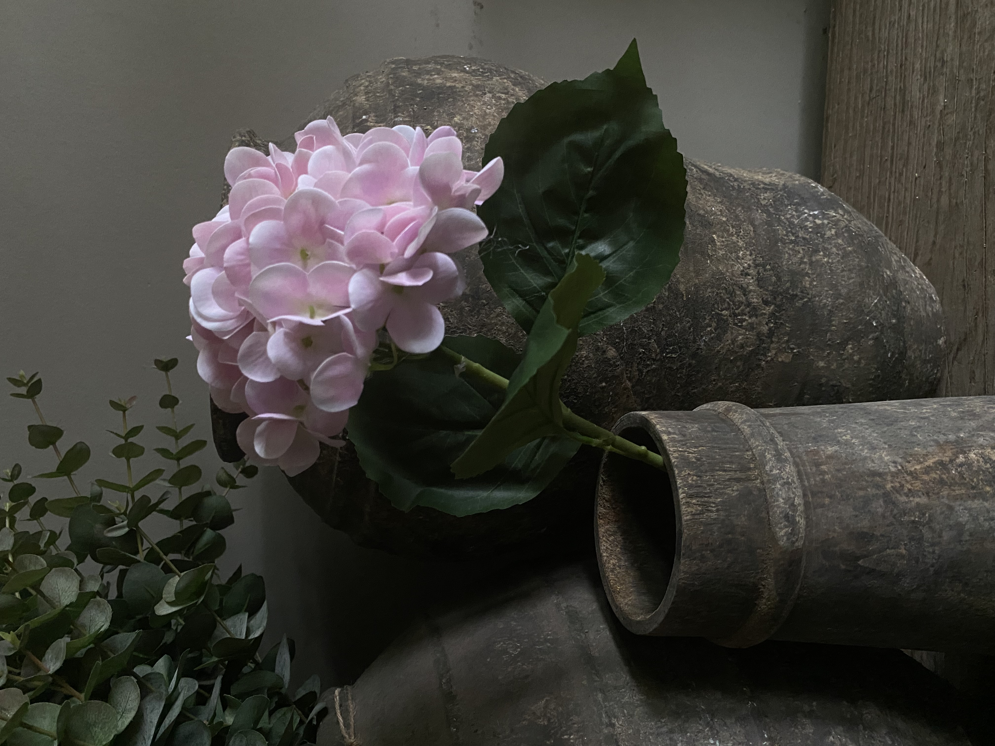 Hortensia baby roze 40 cm