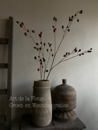 Rozenbottel tak 120 cm Burgundy