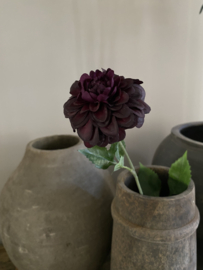 Dahlia mini Bordeaux 62 cm