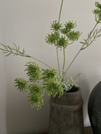 Dille groen 80 cm