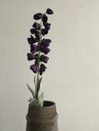 Fritillaria 96 cm Donker Paars