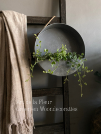 Muurplantenbak M 30 x 9 zink Excl !!  2 Nepeta