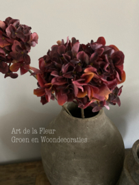 Hortensia red | Burgundy 67 cm