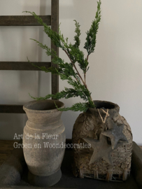 Cypresse tak groen 80 cm