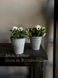 Nieuw zink potje 9 x 9