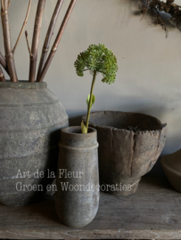 Allium Groen 68 cm