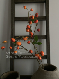 Rozenbottel spray Orange