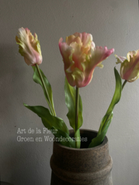 Papegaai tulp de luxe vlam licht  51 cm