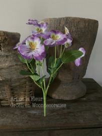 Kunst viooltje | struikje | steker