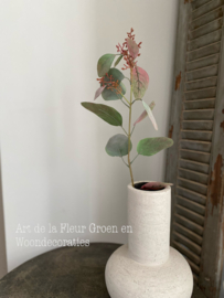 Eucalyptus Seed Spray 89cm