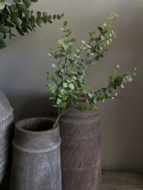 Eucalyptus groen bosje op steel 65 cm
