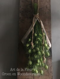 Nigella toef mt L ong 60 cm ( licht groene bolletjes )