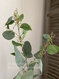 Eucalyptus grijs | groen 102 cm