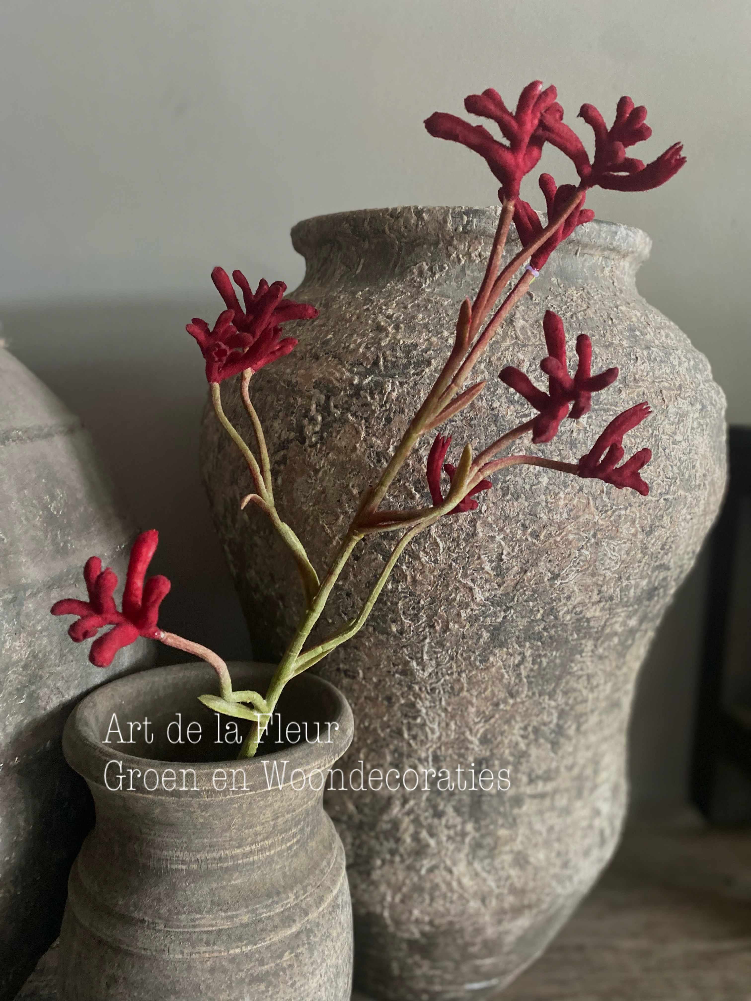 Kangoeroe pootje steel Donker Rood  71 cm