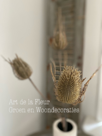 Thistle Plant light brown thistle bundle 85 cm