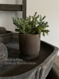 Steker | mini plant ( vetplant soortje ) 25 cm