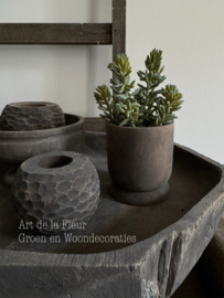 Steker | Succulent 21 cm per stuk