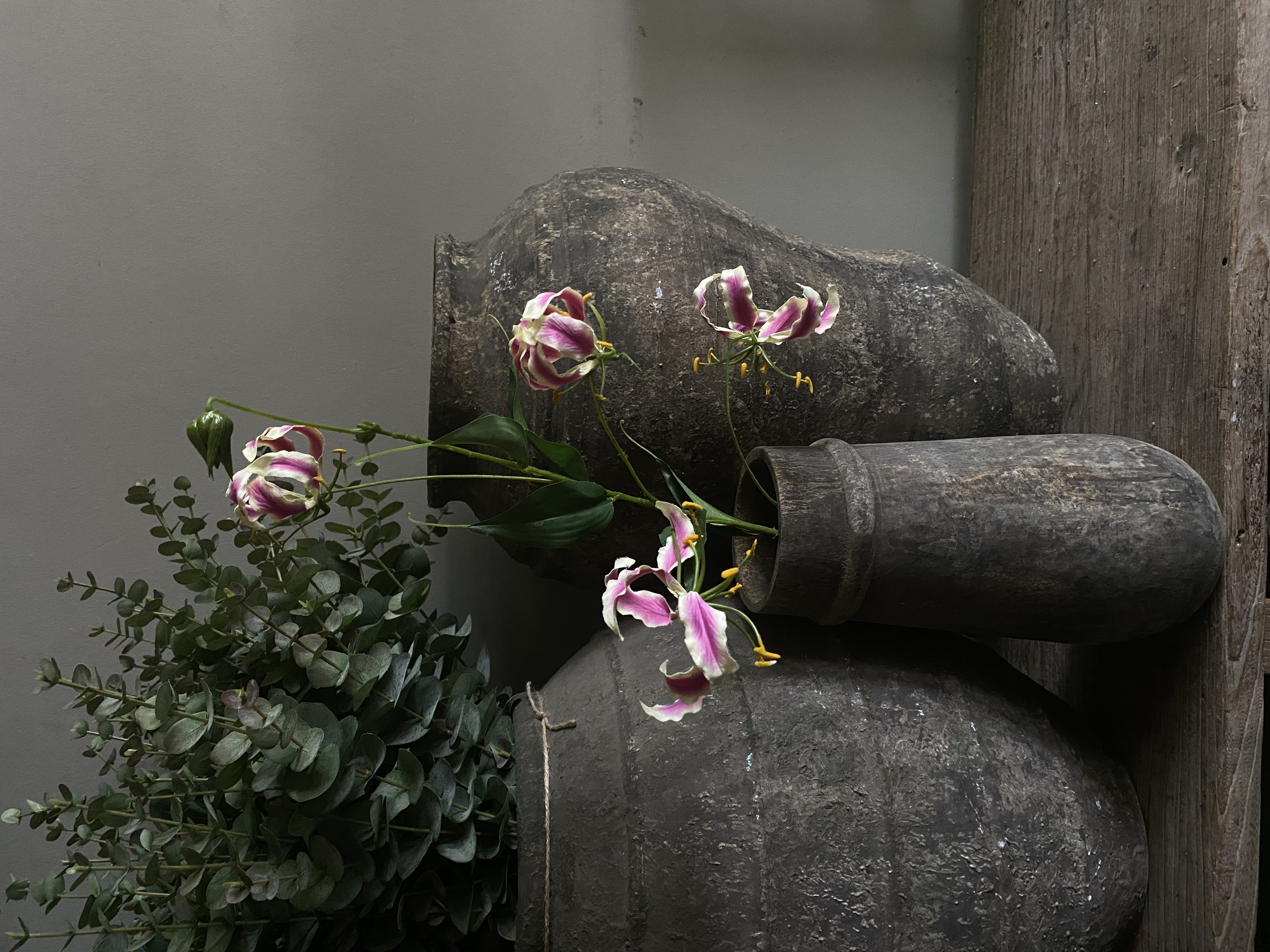 Gloriosa 86 cm