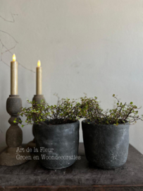 Beton pot rond 11 x 11.5 Antraciet