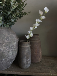 Sweetpea wit 71 cm