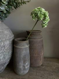 Anise wit 69 cm