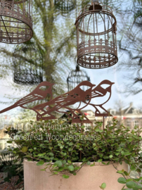 Roest tuinsteker koolmees 38 cm