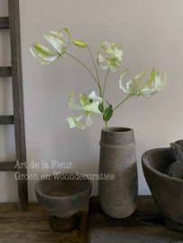 Kunst tak groot bloemige Gloriosa