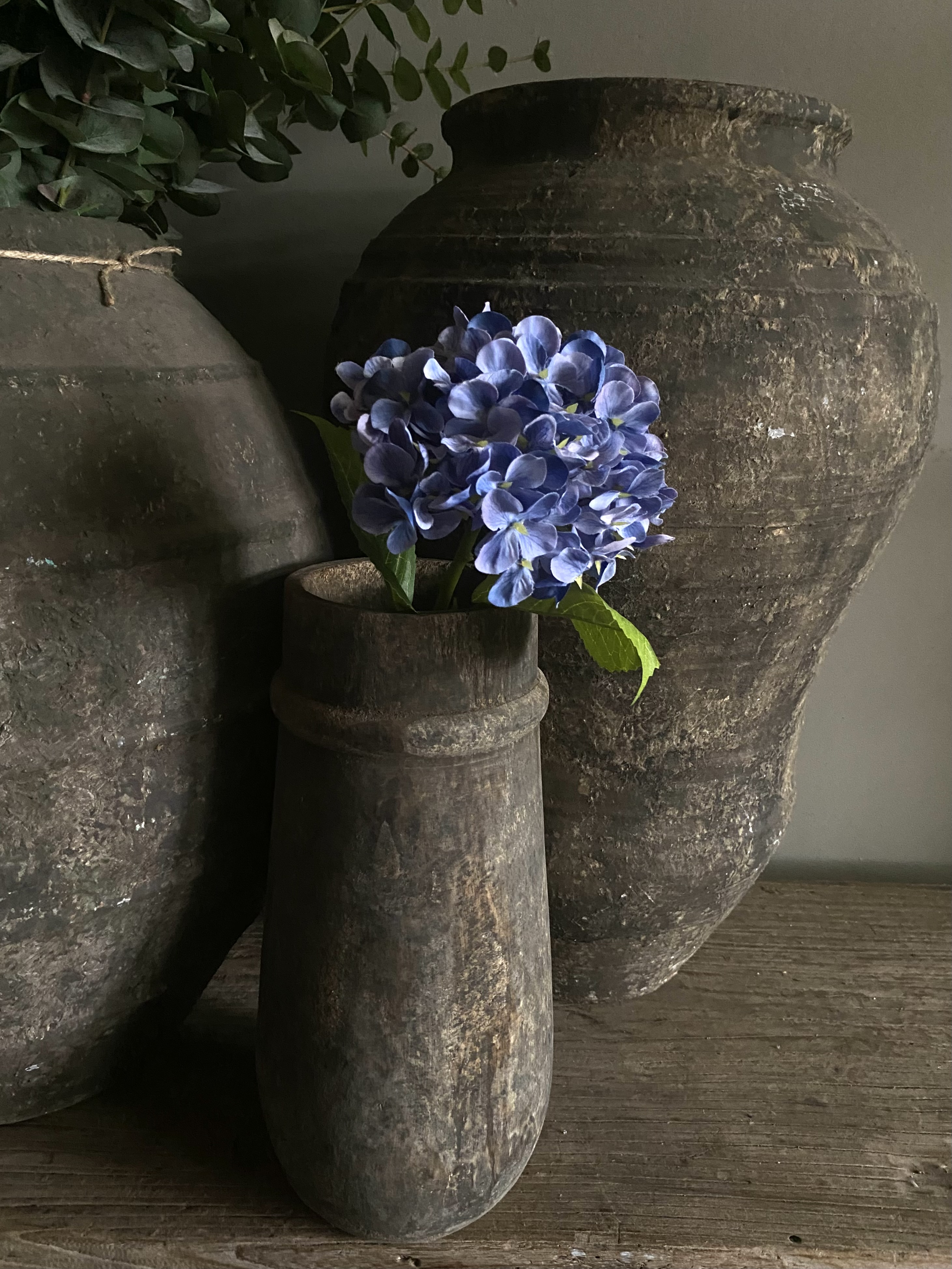 Hortensia Blauw 40 cm
