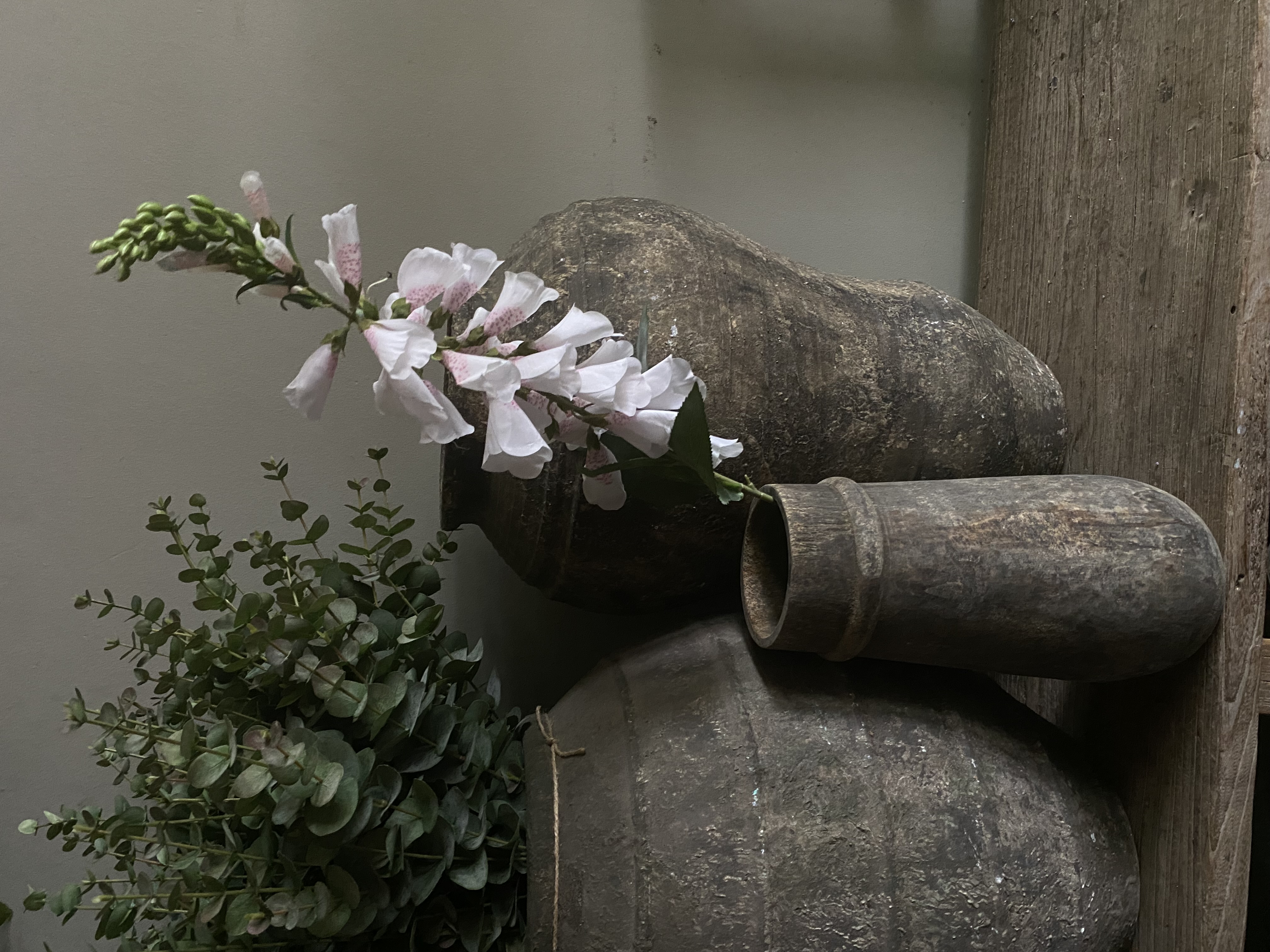 Foxglove 89 cm