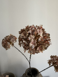 Sneeuwbal met zes bloemen 100 cm licht gedroogde uitstraling