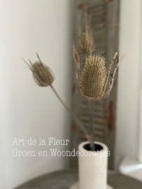 Thistle Plant light brown thistle bundle 85 cm