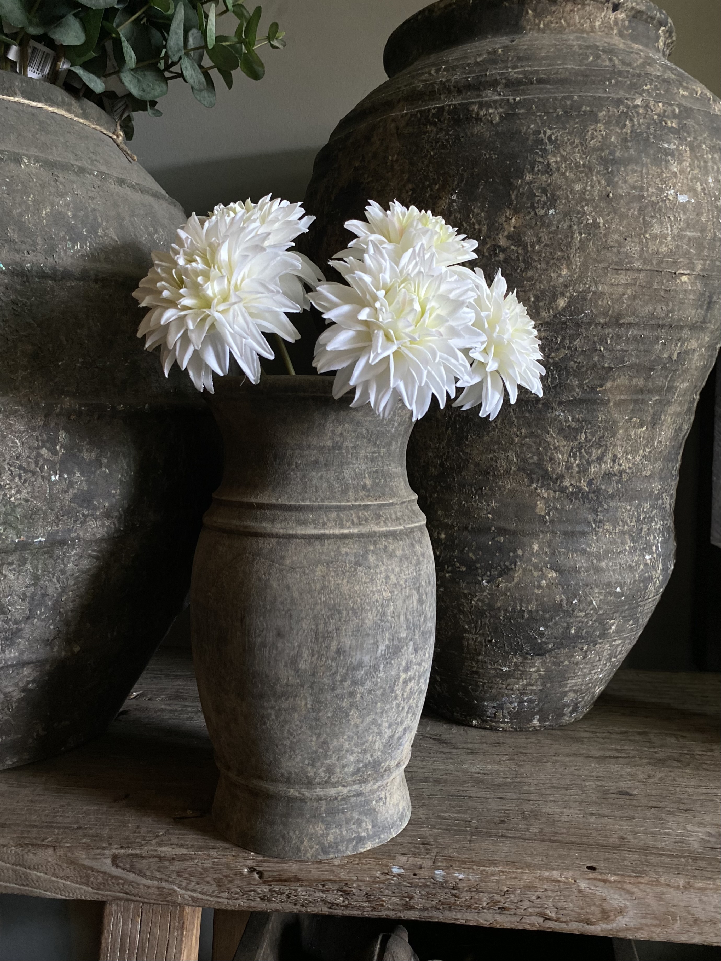 Dahlia bundel van 5 wit