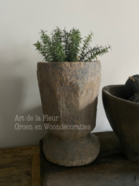 Plant | Kunst plant Tijm 11 x 10 x 30