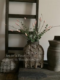 Subtiel samen gebonden takken Eucalyptus en Roze Pimpernel