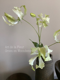 Kunst tak groot bloemige Gloriosa