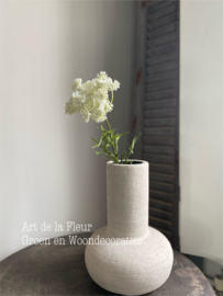 Witte  Dille 59 cm