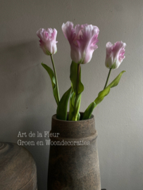 Papegaai tulp de luxe gemêleerd licht 51 cm