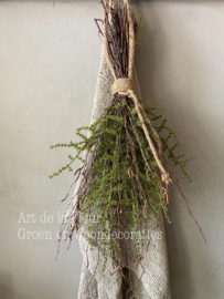 Toef | met kunst Asparagus groen en echte Berk ong 55 a 60 cm