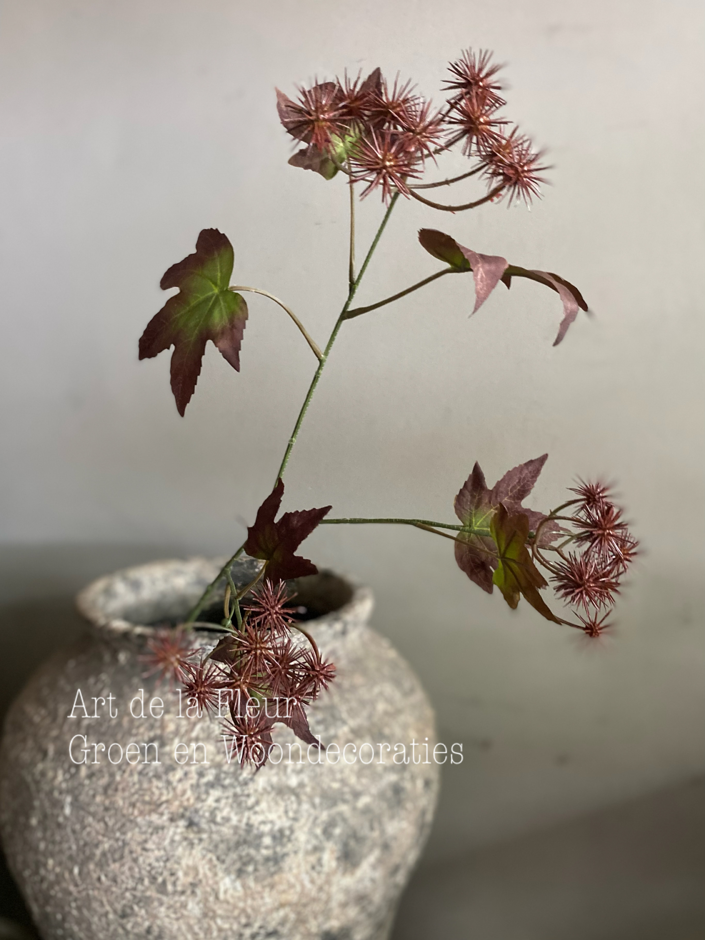 Thorn Fruit 99 cm