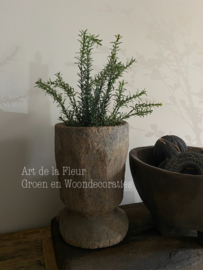 Plant | Kunst plant Tijm 11 x 10 x 43