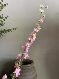 Larkspur 93 cm